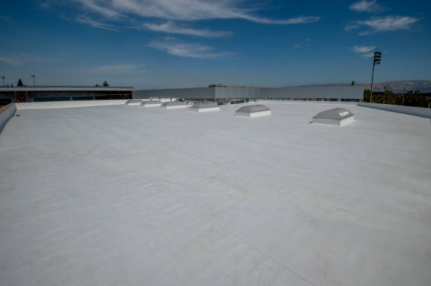 Best Rubber Roofing (EPDM, TPO)  in Lake Cassidy, WA